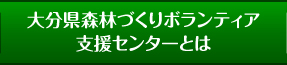 大分県森林づくりボランティア支援センターとは