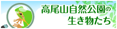 高尾山自然公園の生き物たち